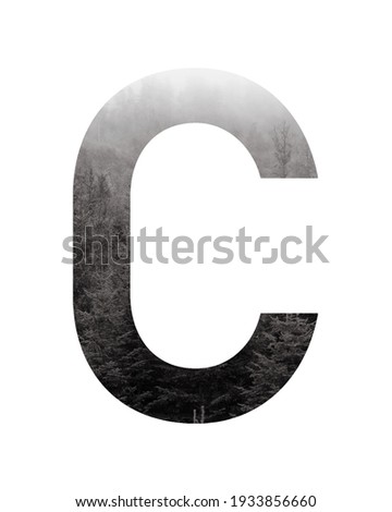 Letter C of the alphabet with a beautiful photography of a forest background. Photo of a character alphabet with texture of plant pattern inside letter isolated on white background