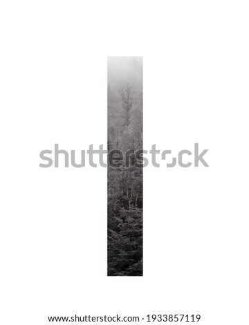 Letter I of the alphabet with a beautiful photography of a forest background. Photo of a character alphabet with texture of plant pattern inside letter isolated on white background