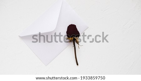 white envelope and dry rose on a white textured background