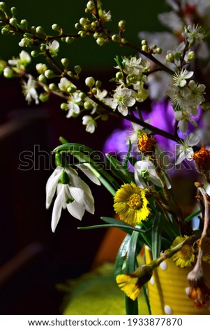 Bouquet of spring wild flowers in a vase