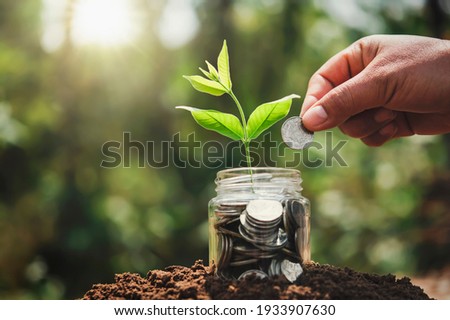 hand putting coins into jug glass with plant growing on money. concept saving finance and accounting