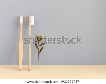 Bamboo toothbrushes stand by a gray wall, dried plant, modern ecological concept, copy space 