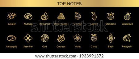 Vector icons aromas top notes. Top notes pyramid chart with examples of popular aroma essences. Smell categories are oriental, woody, fresh and floral. Trend  examples of scents. Royalty-Free Stock Photo #1933991372