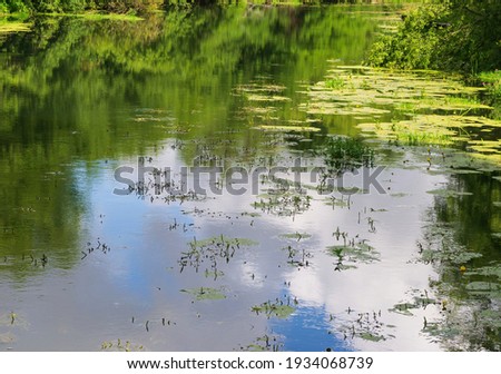 River landscape, green, gray and blue shades of water, reflections of trees and sky on the water surface 