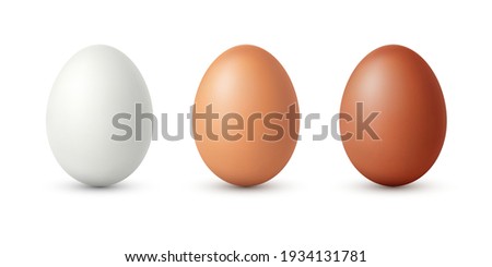 Set of realistic white , dark and light brown chicken eggs. Vector illustration isolated on white background Royalty-Free Stock Photo #1934131781
