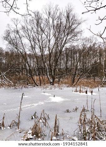 Frozen pond during cold winter day.