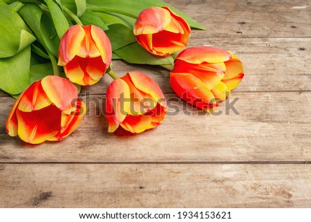 A festive bouquet of fresh tulips on a vintage wooden table. Spring flowers, Easter, or Mother's Day greeting card concept. Happy birthday or Women's Day holiday background. Flat lay, a place for text