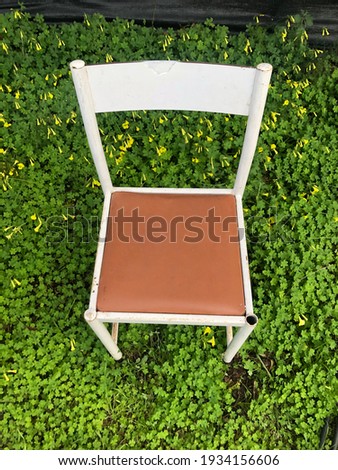 Old and ruined chair in the middle of a beautiful expanse of clovers and yellow flowers in the countryside