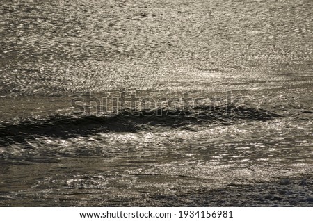Play of sun rays on the water surface. The sea wave is moving towards the shore