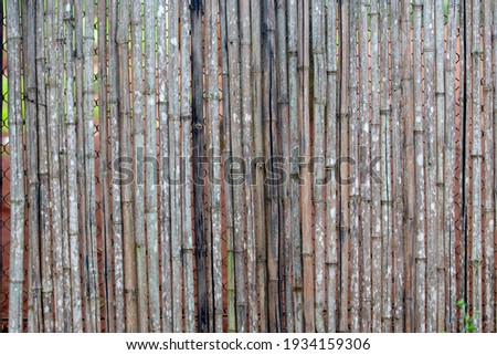 Parallel vertical old bamboo texture