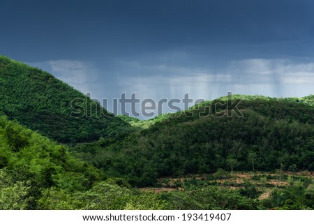 Forest mountain under storm and raining