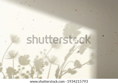 Background with flower field shadow during golden hour