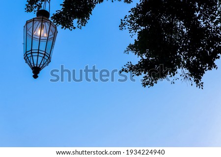 Vintage glass lantern hanging on a tree branch.