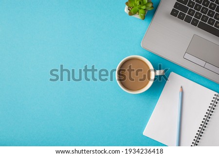 Top view photo of workplace with laptop pencil on notebook plant and cup of coffee on isolated blue background with blank space Royalty-Free Stock Photo #1934236418