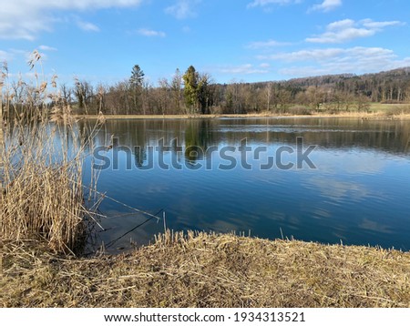 Flach lake or Flachsee in the natural protection zone Aargau Reuss river plain (Naturschutzzone Aargauische Auen in der Reussebene), Rottenschwil - Switzerland (Schweiz)