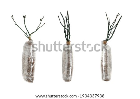 Rose plants with plastic wrap on white background isolated and clipping paht. Flower plant for garden summer. Trading plants packing idea concept.