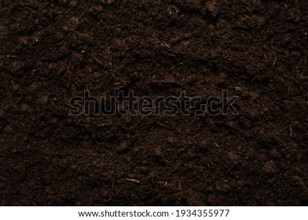 Black land for plant background. Top view.  Royalty-Free Stock Photo #1934355977