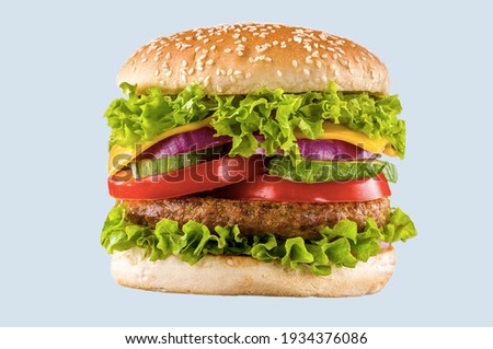 Simple hamburger patty recipe background picture