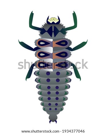 Scolopendra bug. Entomology vector illustration. Symmetrical caterpillar with fluffy legs.