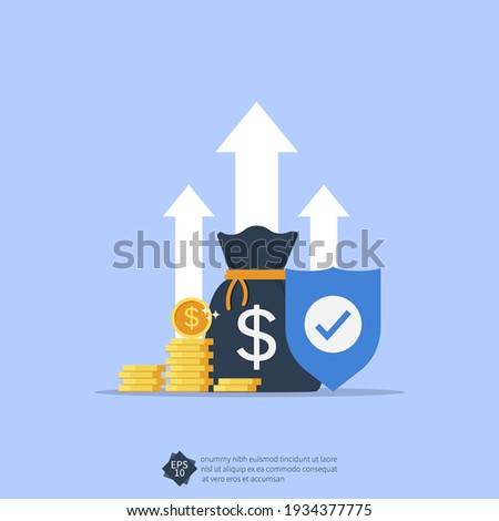 Income protection concept with shield symbol illustration. Royalty-Free Stock Photo #1934377775