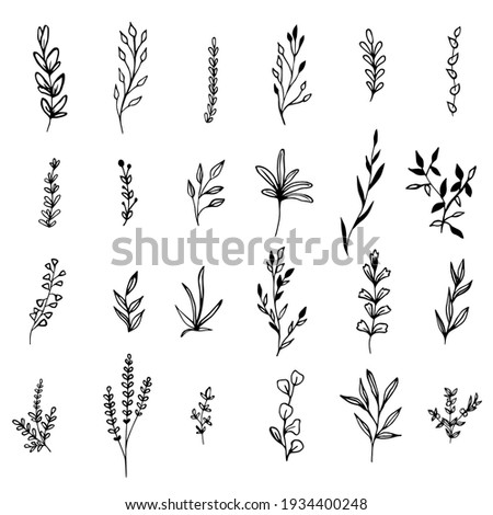 Collection sketch twigs. Hand drawn vector floral elements.  Royalty-Free Stock Photo #1934400248