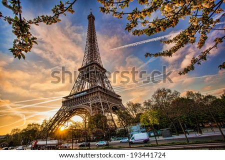 Eiffel Tower with spring tree in Paris, France Royalty-Free Stock Photo #193441724