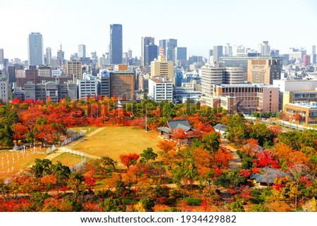 Osaka Castle Park in autumn, afternoon