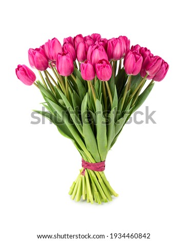 Fresh lush bouquet of pink tulips isolated on white background Royalty-Free Stock Photo #1934460842