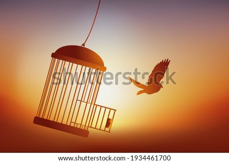 Concept of freedom, with a bird that escapes from its cage and flies away in front of a sunset. Royalty-Free Stock Photo #1934461700