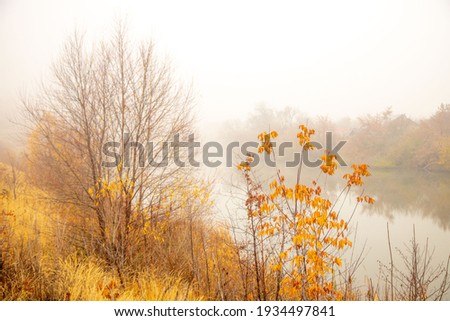 Morning fog over the autumn river