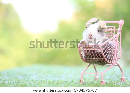 Baby rabbit sits on green graas in nature bokeh as background. Lovely little bunny wears flower wreath on its head. Cute pet sitting in charming pink shopping kid cart.
