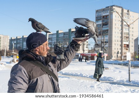 A man feeds pigeons with his hands. People take care of wild birds in winter in the city. In the background, a snow-covered, cold city, and a blue sky