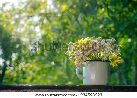 Closeup view color photography of cute sweet bunch of different field wild flowers isolated at green blurry organic bokeh background