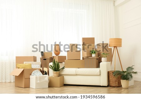 Cardboard boxes, potted plants and household stuff indoors. Moving day Royalty-Free Stock Photo #1934596586
