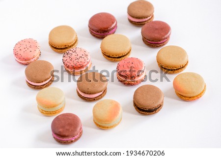 Assorted Macaron French Cookie Treat