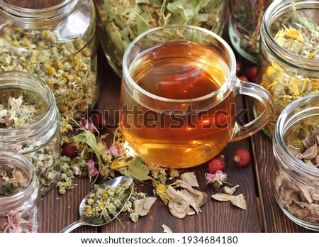 Herbal tea and jars with dry homeopathic herbs: chamomile, linden, calendula, burdock, rosehips and flowers, closeup, copy space, naturopathy and natural medicine concept Royalty-Free Stock Photo #1934684180