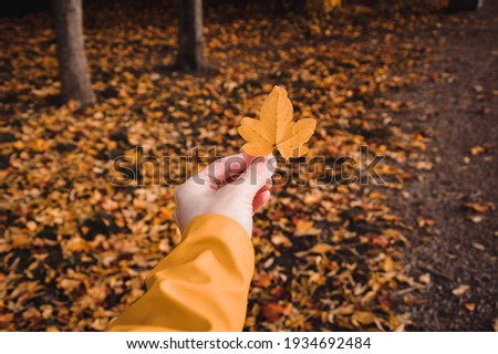 Person with raincoat holding a leaf during autumn fall season