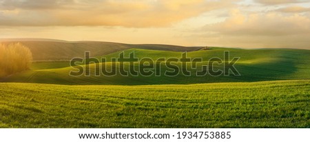 wavy fields with lines of winter crops in spring at evening sky Royalty-Free Stock Photo #1934753885