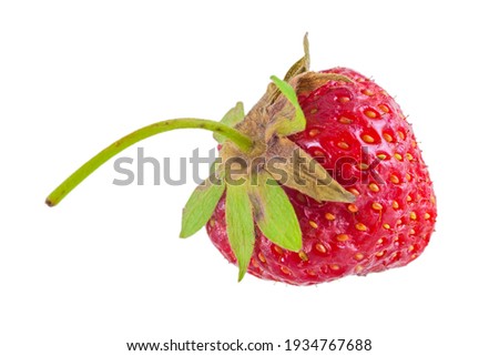 Bright red fresh vitaminous strawberry berry, isolated