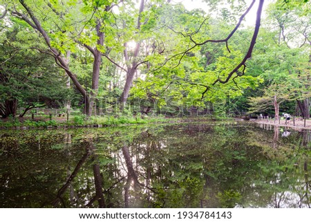 Nature landscape of pond and reflection in the historical Hokkaido Shrine at Sapporo, Hokkaido, Japan