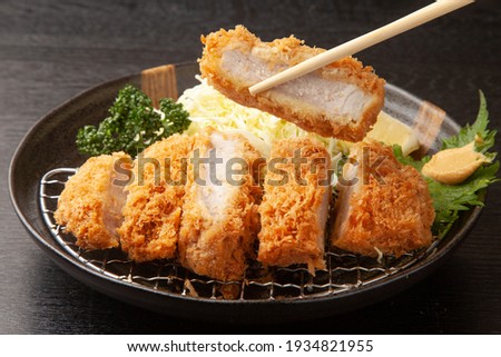 Pork cutlet and shredded cabbage on a plate Royalty-Free Stock Photo #1934821955