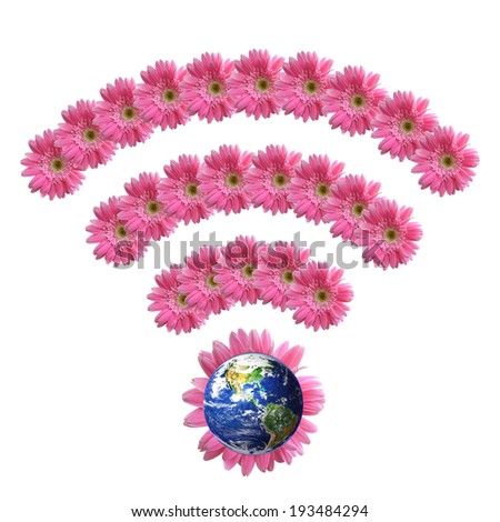 Wireless Network Symbol wifi icon from pink gerbera flowers alphabet isolated on white background , Element of this image furnished by NASA