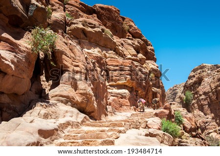 Rock and nature in Petra (Rose City), Jordan. The city of Petra was lost for over 1000 years. Now one of the Seven Wonders of the Word
