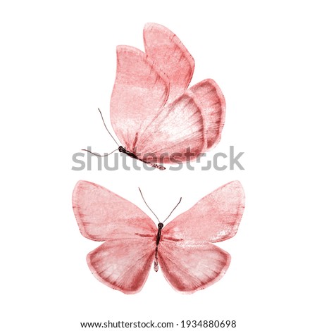 set of red butterflies isolated on a white background. High quality photo
