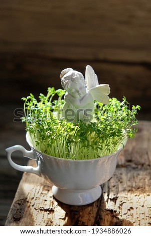 Cute angel fairy and green grass in cup on wooden background. love, romance and tenderness concept. spring season