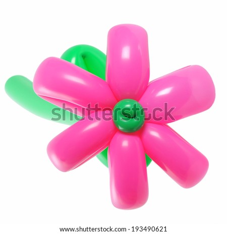 Balloon flower