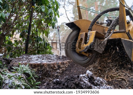 Stump grinding with a view from the right where the cutting disc is visible in close proximity. During the grinding process, the stump shavings fly through the air.  Royalty-Free Stock Photo #1934993606