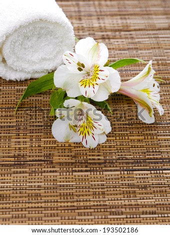 Branch white orchid with white roller towel and mat background