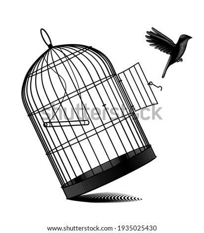 Fallen birdcage and a black bird flying away isolated on white. Vintage engraving black and white stylized drawing. Vector illustration Royalty-Free Stock Photo #1935025430