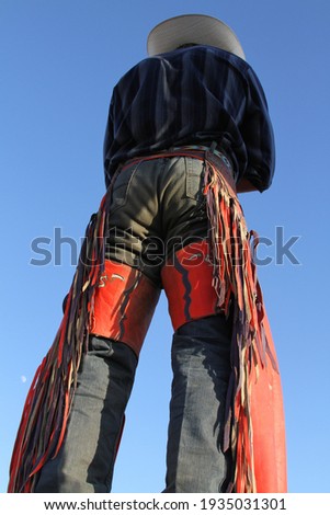 Rodeo bull rider in chaps